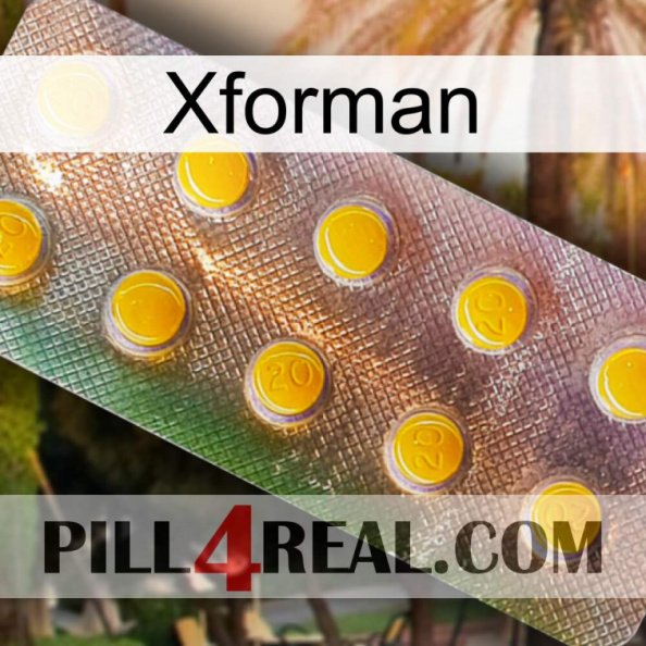 Xforman new11.jpg